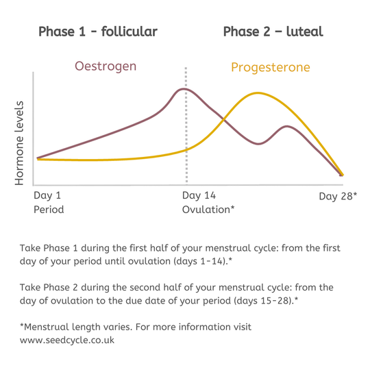 Seed Cycling for Menstrual Support and Hormone Balance image 5
